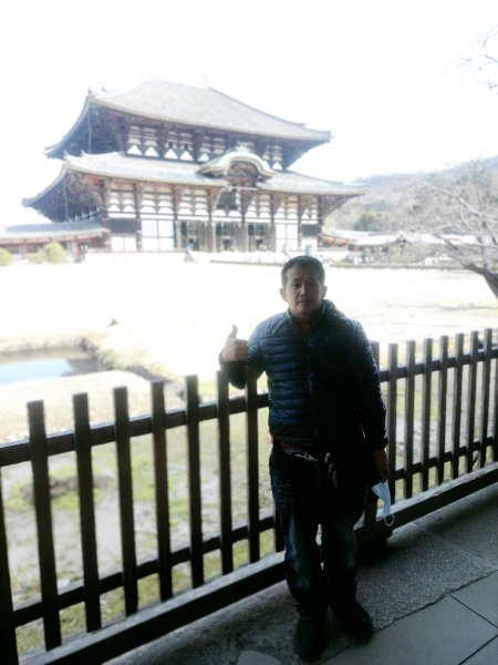 奈良公園&春日大社&東大寺2454227