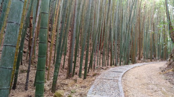 木馬古道封面