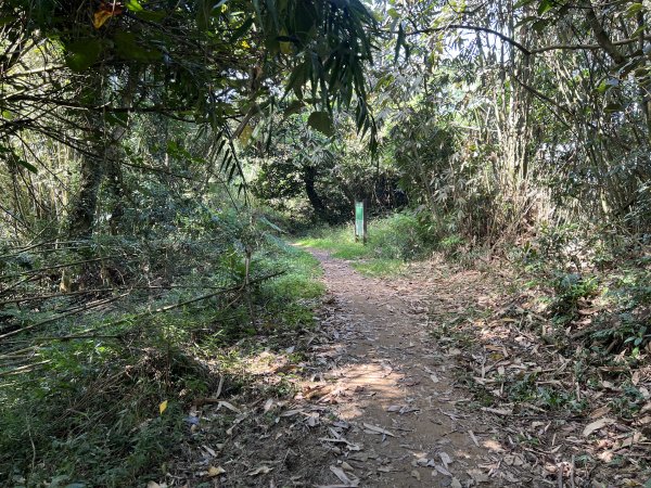 崁頭山步道｜上去後Ｏ型 左上 右下1909847