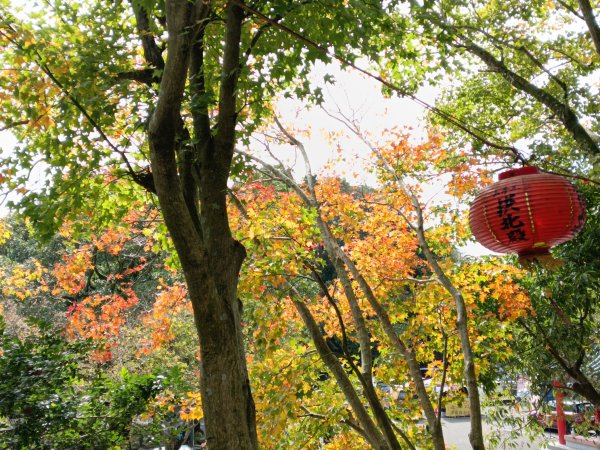 汐止區北港山+拱北殿楓情O型