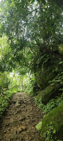 新竹內灣．馬胎古道202506212823512