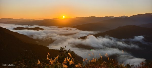 #翡翠水庫壩頂 #日出 #雲海 12/162963105