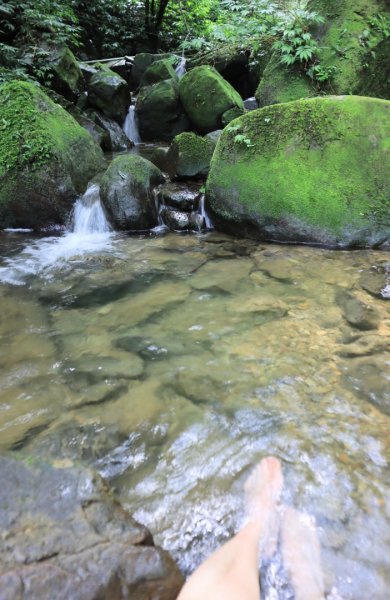 菁桐古道-磐石嶺古道2799106