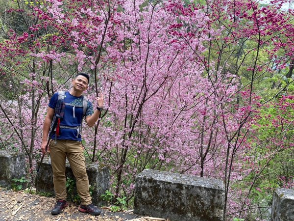 望鄉部落.獵人古道.望美山.瓊山【人與自然山林的恩怨情仇】2731368