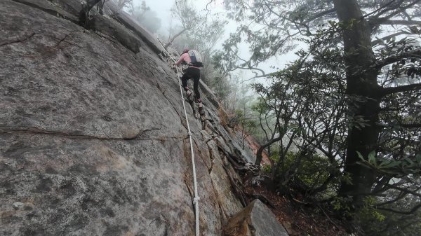 台中 鳶嘴稍來山O繞+稍來神木2989469