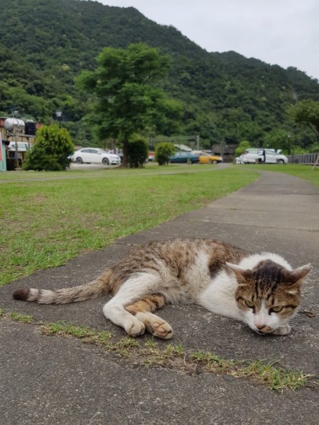 20190622_三貂嶺-瀑布群-猴硐624477