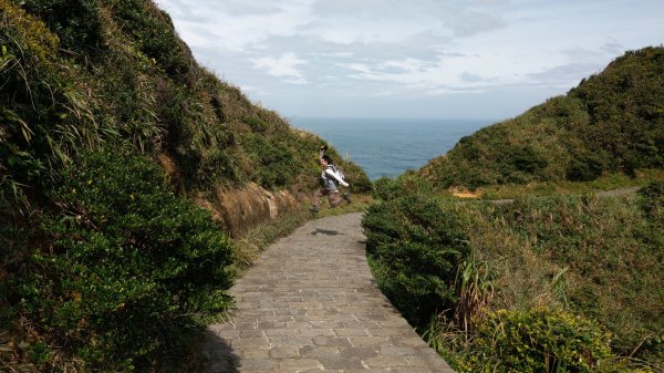 野柳地質公園岬上步道856665