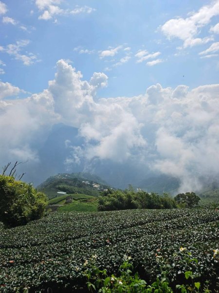 20260921 樟湖生態國小登後棟仔山挑筍古道上大、二尖山3121223