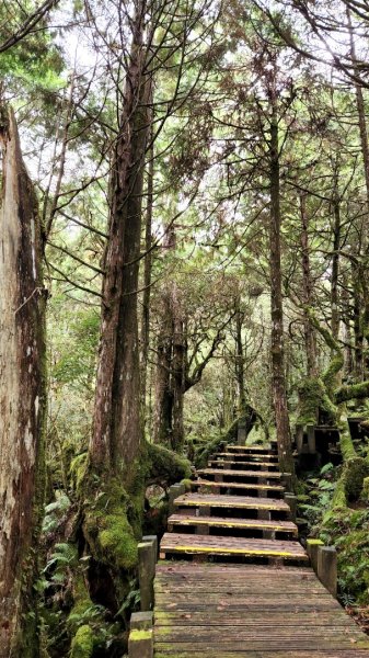太平山森林遊樂區，檜木原始林步道，九寮溪自然步道，戈霸瀑布，開眼崙登山步道1859661