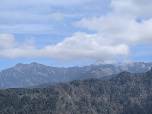2026.02.14－特富野古道3013738