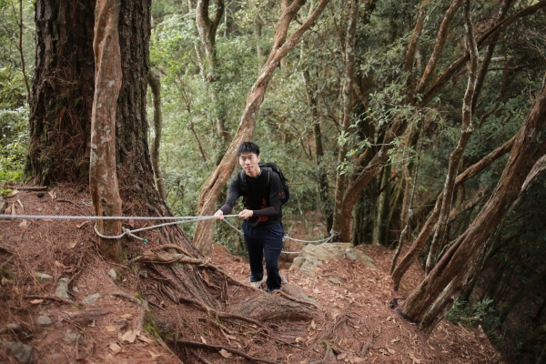 鳶嘴西稜：長壽山連走崠醜山257176