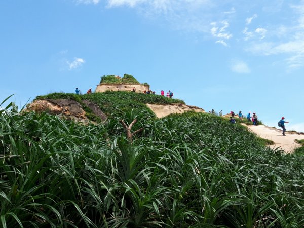 駱駝峰~登山觀海遠足趣626987