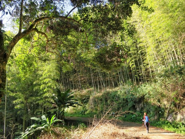 五元二角-東碧山莊O型環走837680