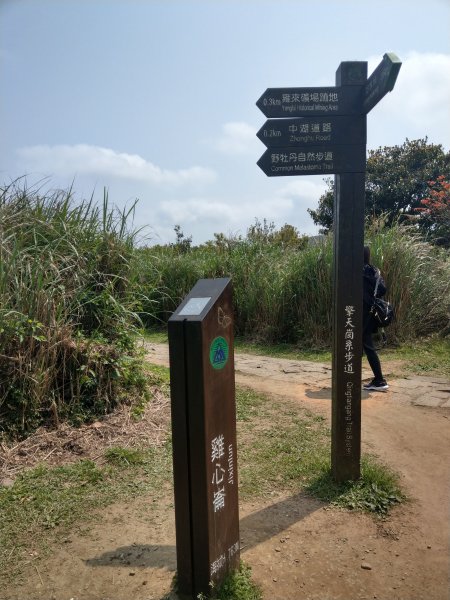 臺北大縱走第三段：小油坑→風櫃口1314345