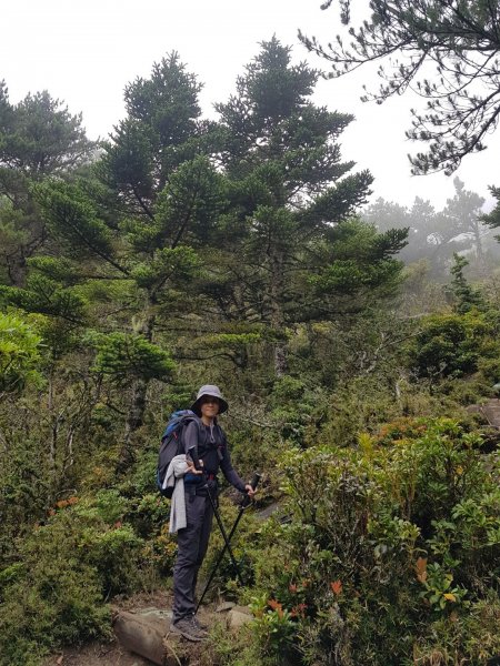 嘉明湖、向陽山三叉山（百岳×19、20）1071416