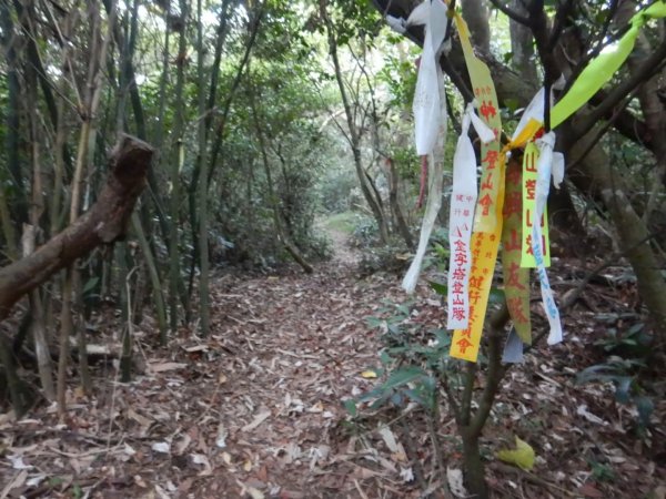 1070602小坪頂山3100116
