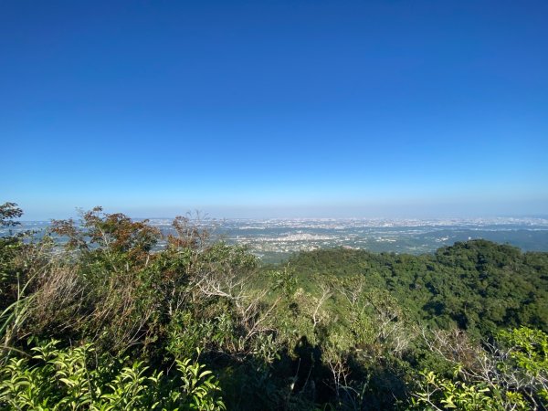 桃園大溪-打鐵寮古道-白石山2612653