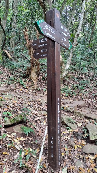 台北大縱走第一段1249191