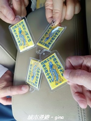 【南投魚池】郊山好視野。 金龍山(槌仔寮山)步道2976292