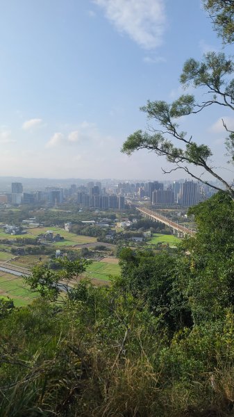 2026-0118新竹新埔文山步道2984652