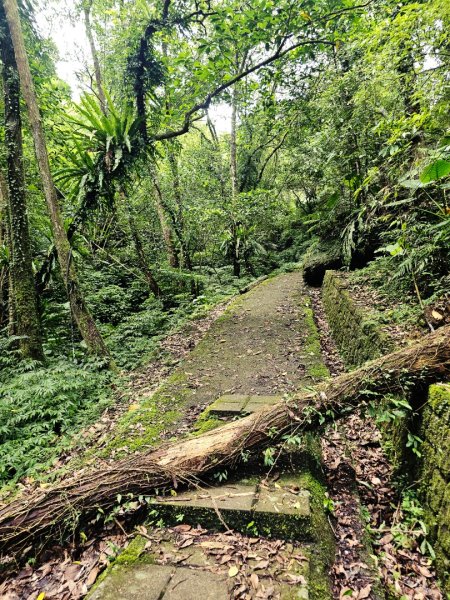 (五分山系)平溪小黃山-2025微笑山線大縱走尋寶集章任務2855283