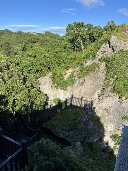 [屏步青雲 尋寶任務-07/10] 2024_1006 社頂自然公園步道2616869
