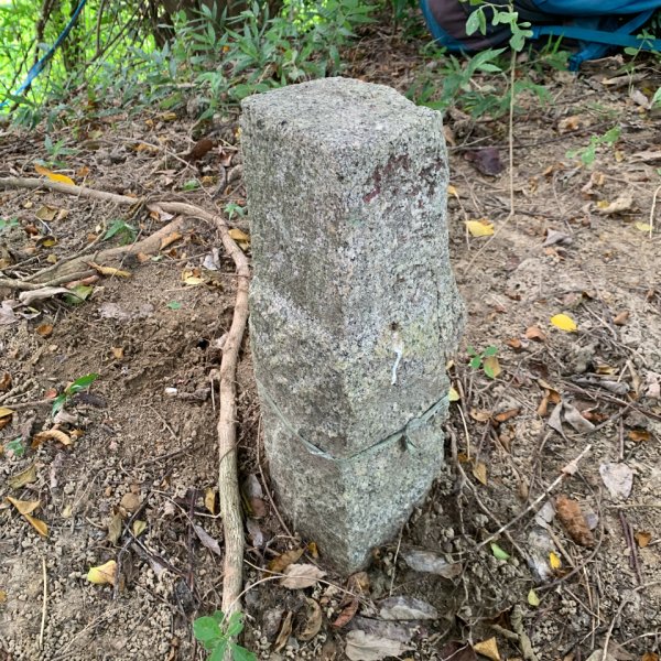 20250906台南合山-觀音山-大坑尾山-臭腳崎山2881436