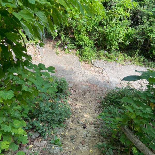 柴山，一年四季3085748