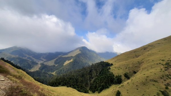 《南投》高山杜鵑盛宴｜哈哈山、石門山北峰202104181353275