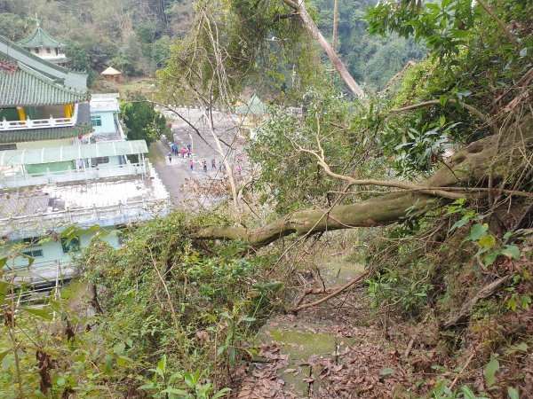 水寨下古道帽盒東山蕃子寮山1620761