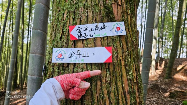 桃園復興金牌縱走O型(金平山.金平山南峰.牌子山)2446651