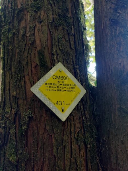 🥵20231107南一段會繞過🤷忘記的溪南山2340104