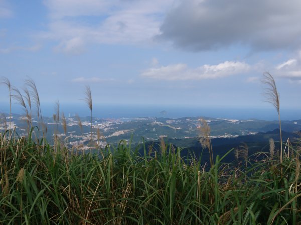 泰安瀑布-姜子寮山步道821765