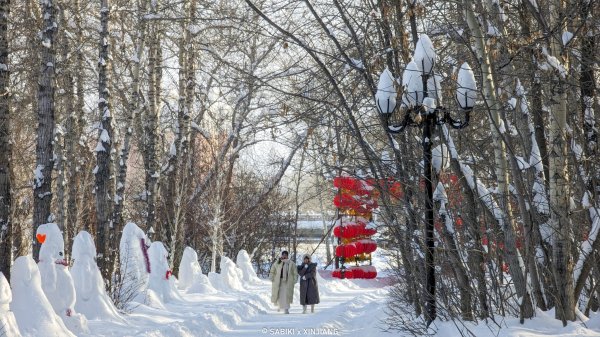 【海外健行】冰封的顛倒世界、零下40°C 新疆2444357