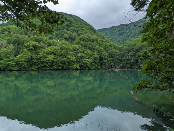 2023-06-14 十二湖（日本）2793199