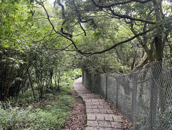 [跟著2025雙北世壯運探索雙北市-6/21] 2025_0614 文化排擊徑（文化大學－天母古道）2814414