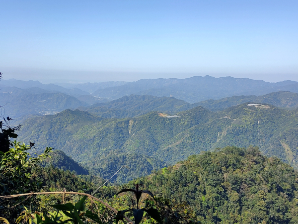 2025-008：清流部落上眉原山下裡冷林道