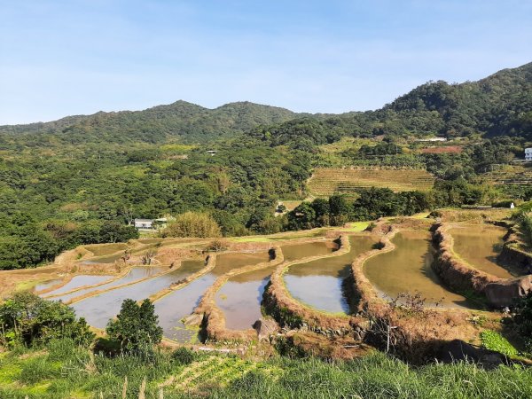 嵩山百年梯田、青山瀑布1293944