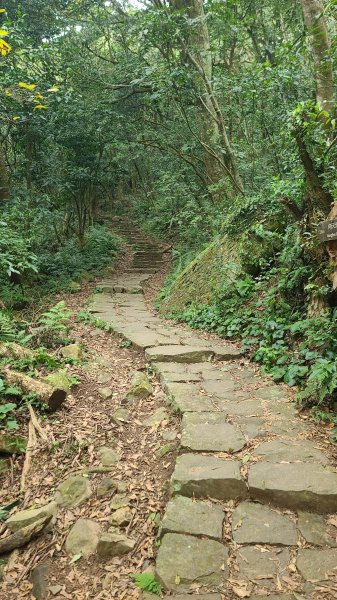 2026-0116 大屯三山_貴子坑_北投2984767