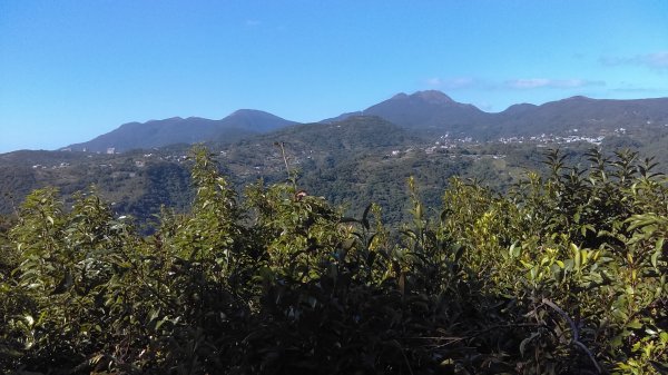 【臺北親山拓印趣】林蔭青蔥的大崙頭尾山738371