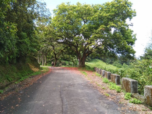 明潭四秀 - 貓囒山步道