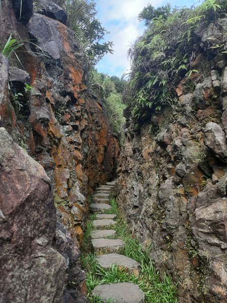 金瓜石，與奈良美智的詩意邂逅2883173