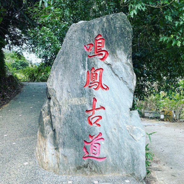 苗栗獅潭-鳴鳳古道2619013