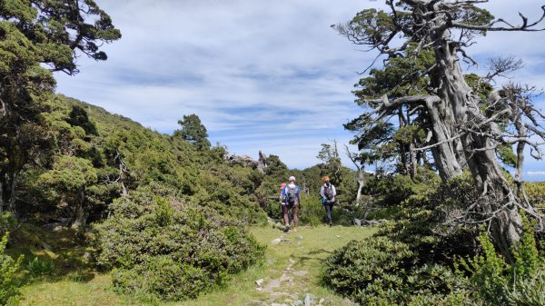 雪山主東北甘木林山下翠池2025年6月22日2823857