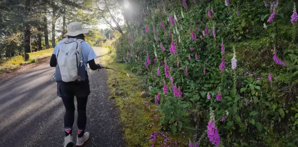 塔塔加五連峰2831415