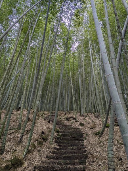 石壁山_2025-09-202892644