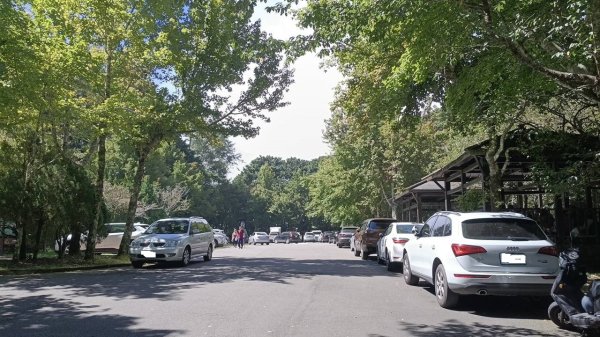 20251010 大雪山國家森林遊樂區 - 船型山林道 登 烏石坑山2911035