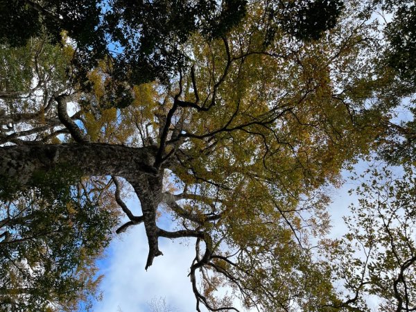 20221112_北得拉曼山2762253