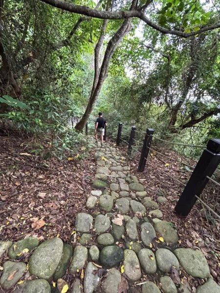 ［豐原］公老坪蜈蚣崎登山步道2581301