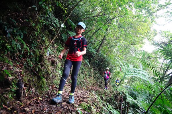 淡蘭古道中路O型988483